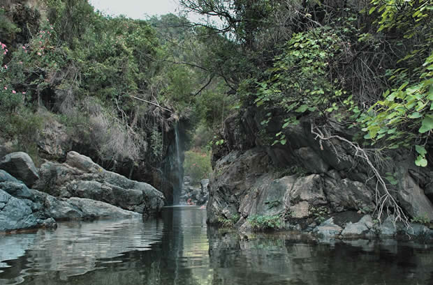 PARQUES Y RESERVAS NATURALES EN MÁLAGA, Naturaleza-España (1)